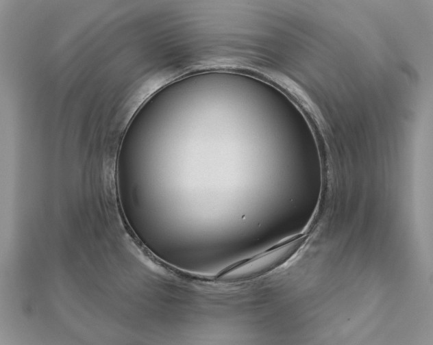 X0000111671337200907311151