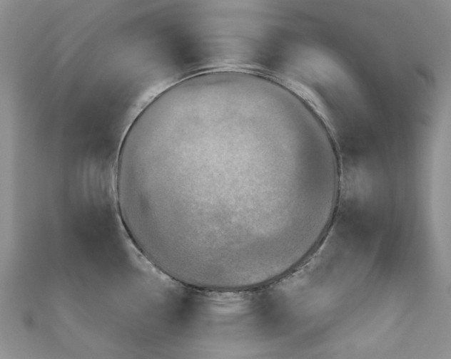 X0000111671338200907311151