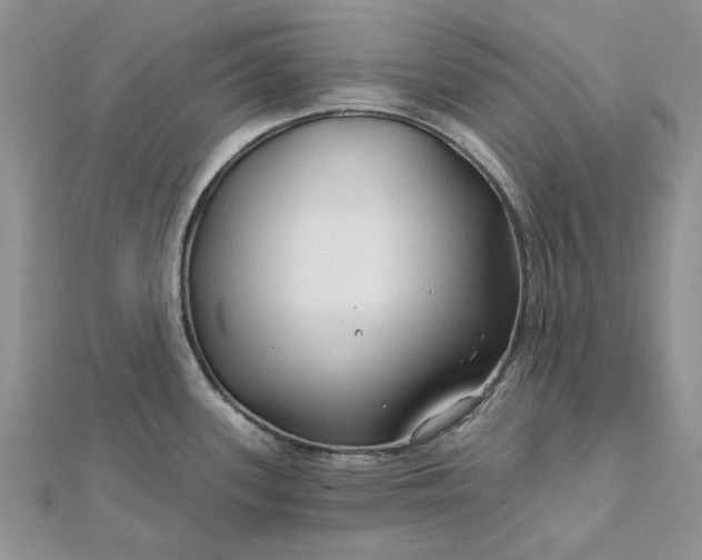 X0000111671339200907311151