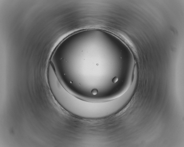 X0000111671340200907311151