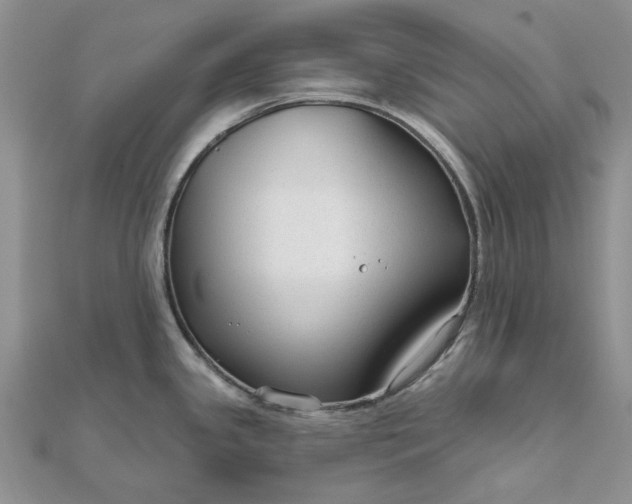 X0000111671341200907311151