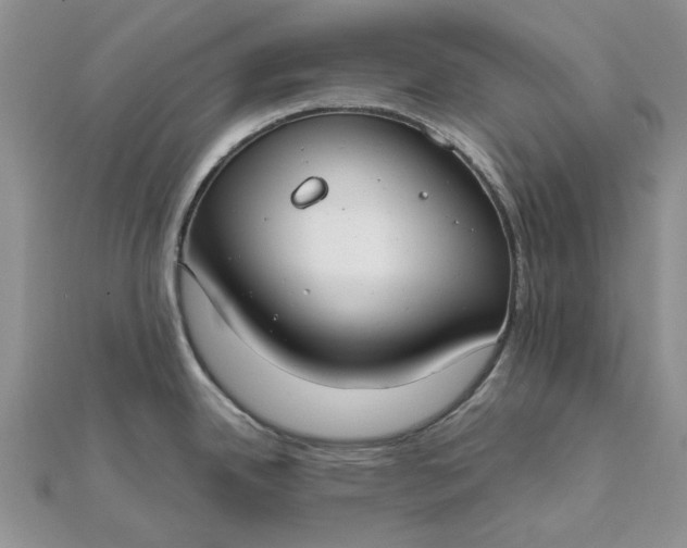 X0000111671342200907311151