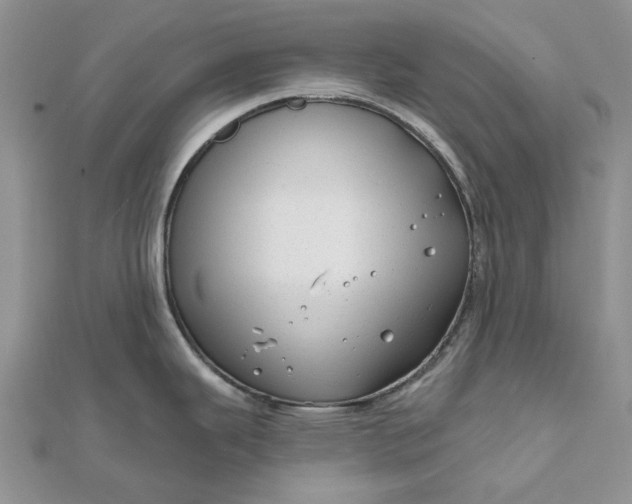 X0000111671343200907311151