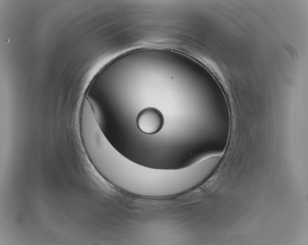 X0000111671344200907311151