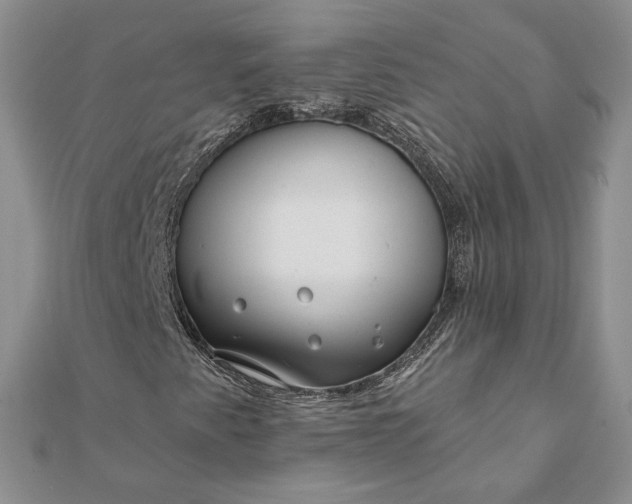 X0000111671345200907311150