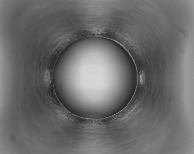 X0000111671347200907311150