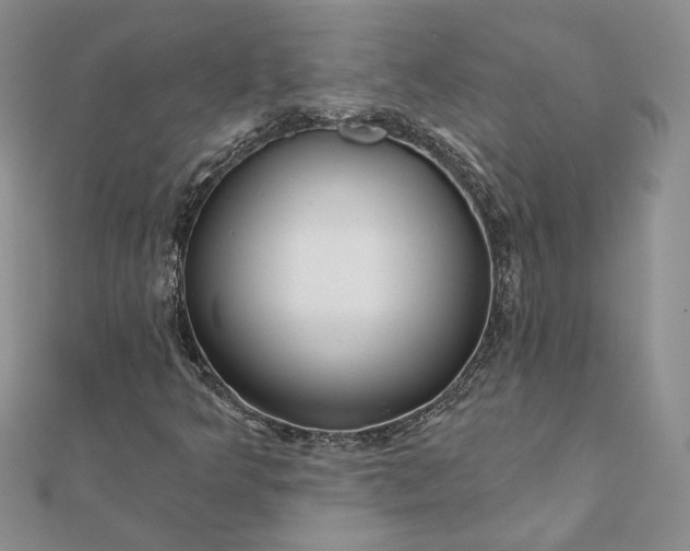 X0000111671349200907311150