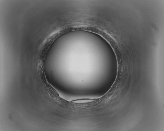 X0000111671351200907311150