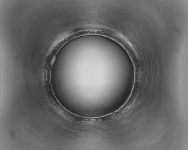 X0000111671352200907311150