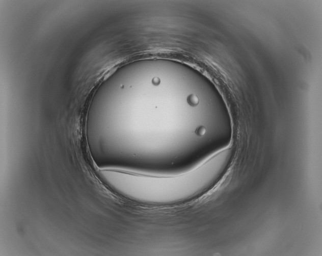 X0000111671353200907311150