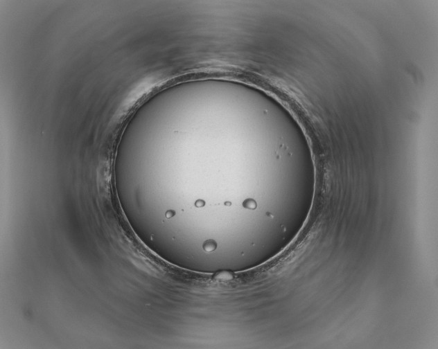 X0000111671355200907311150