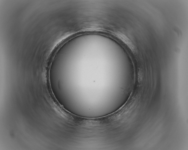 X0000111671356200907311150