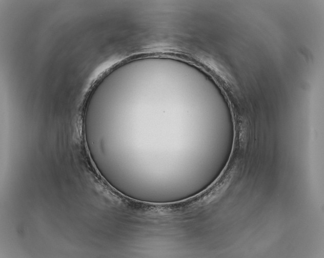 X0000111671358200907311150