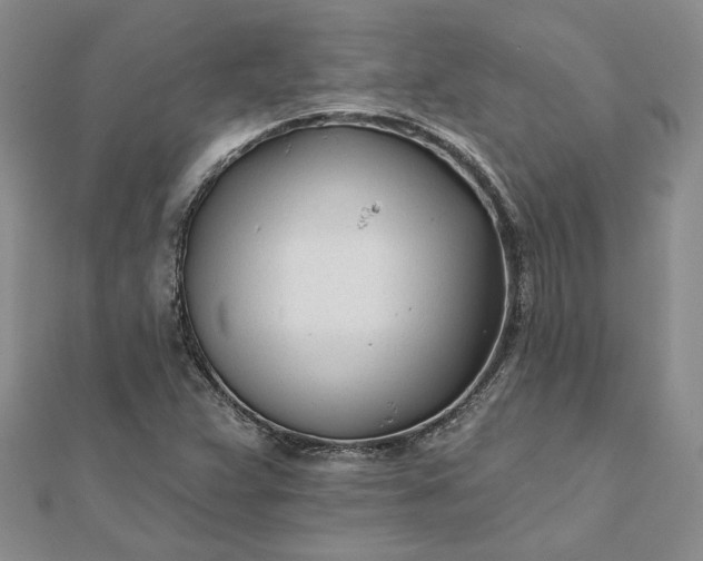 X0000111671359200907311150