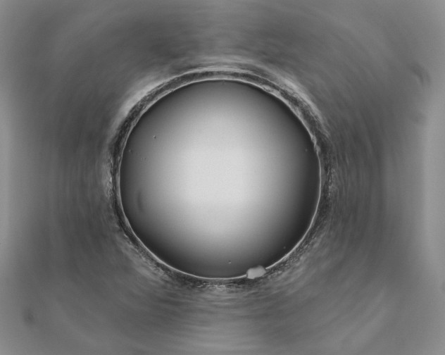 X0000111671360200907311150