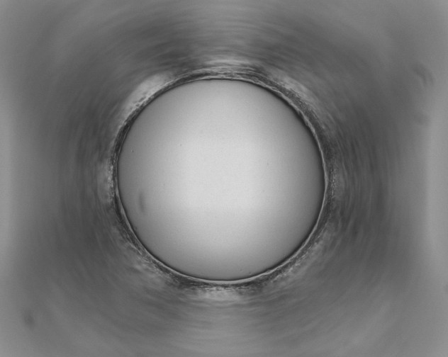 X0000111671362200907311150