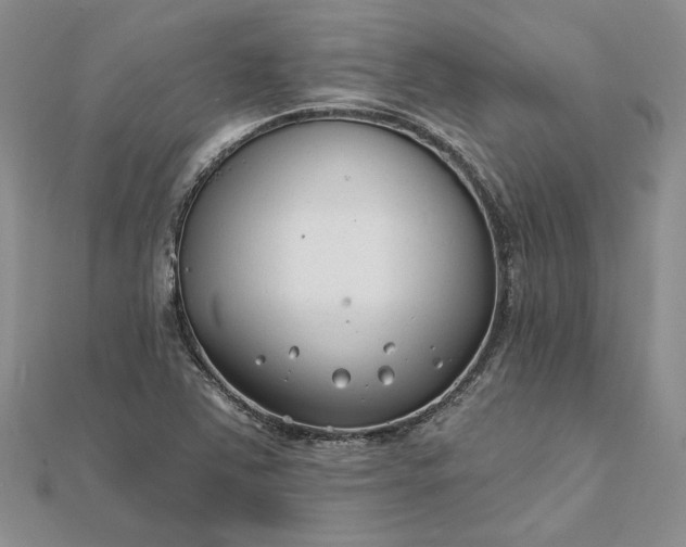 X0000111671363200907311150