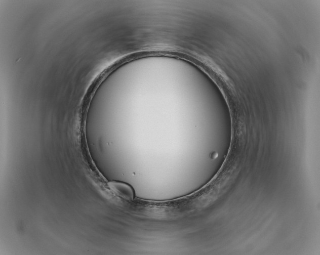 X0000111671364200907311150