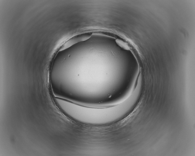 X0000111671365200907311150