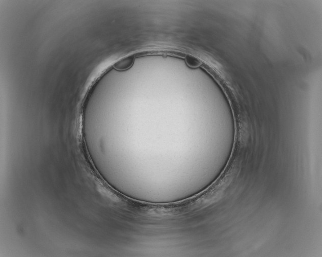 X0000111671366200907311150