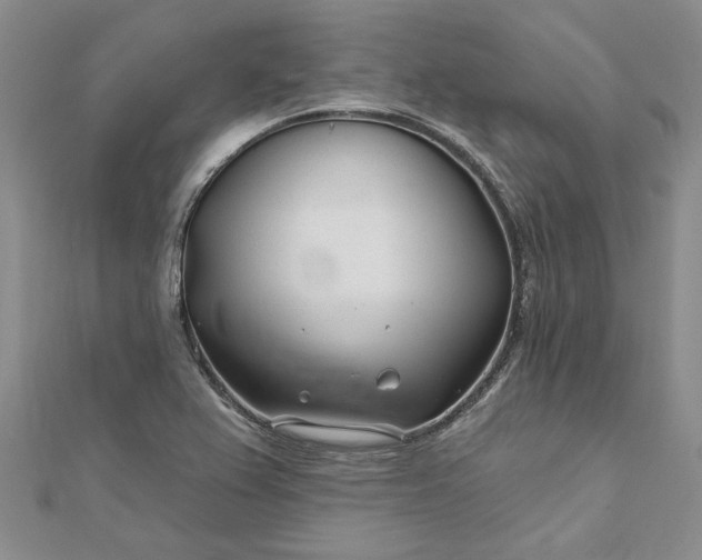 X0000111671367200907311150