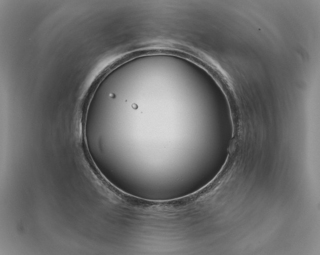 X0000111671368200907311150