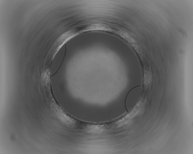 X0000111671369200907311150