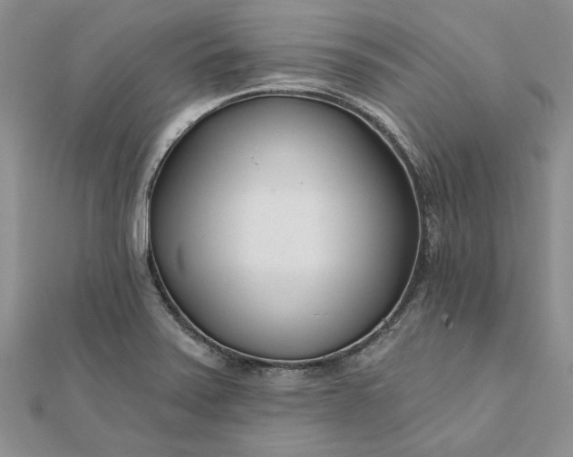 X0000111671371200907311150