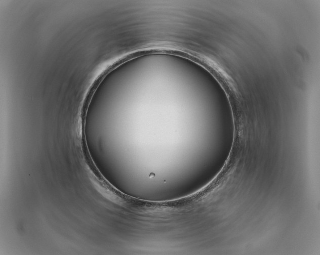 X0000111671372200907311150