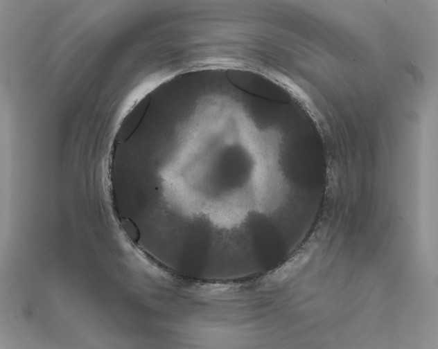 X0000111671373200907311150