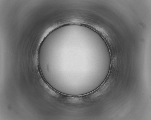 X0000111671374200907311150