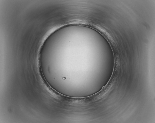 X0000111671375200907311150