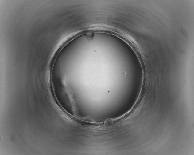 X0000111671376200907311150