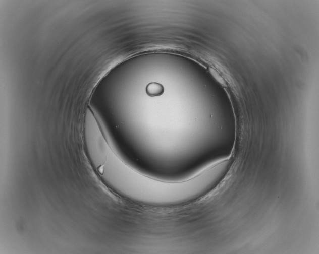 X0000111671377200907311150