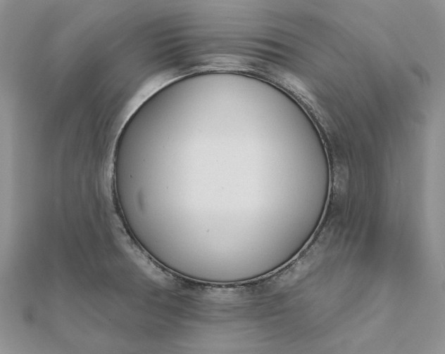 X0000111671378200907311150