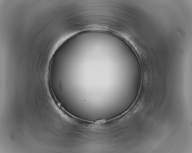 X0000111671379200907311150