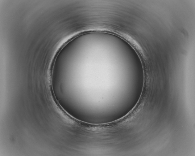 X0000111671380200907311150