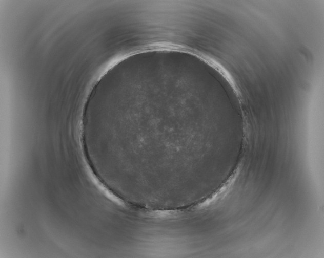 X0000111671381200907311150