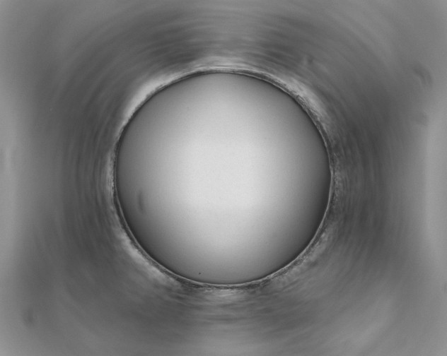 X0000111671382200907311150