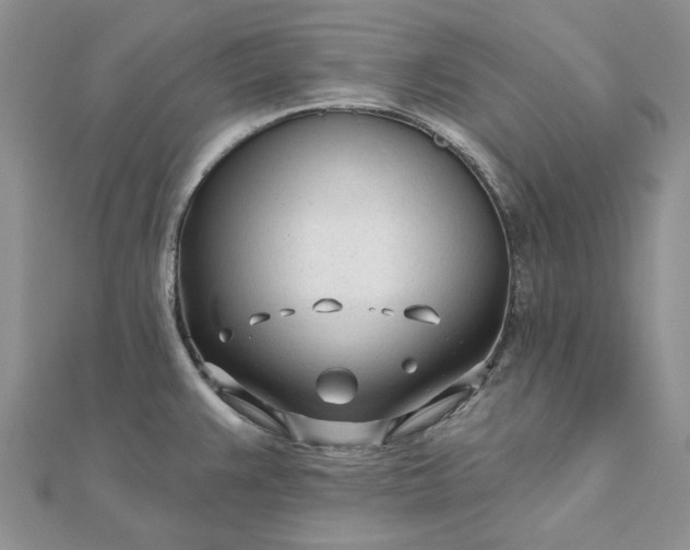 X0000111671383200907311150