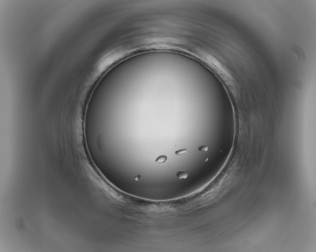 X0000111671384200907311149