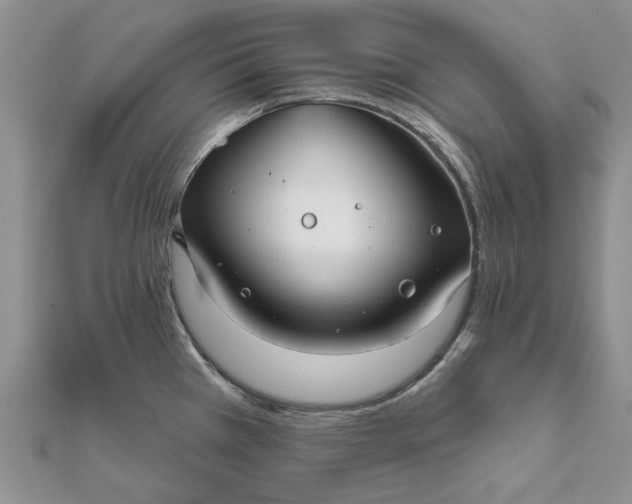 X0000111671385200907311149