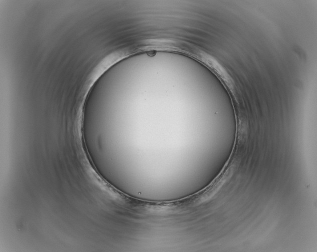 X0000111671386200907311149