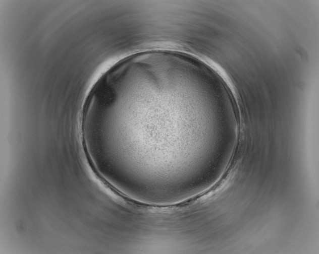 X0000111671389200907311149