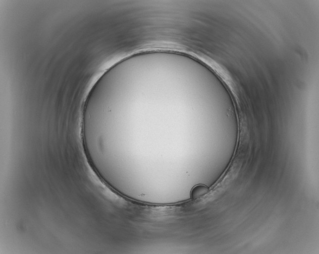 X0000111671390200907311149