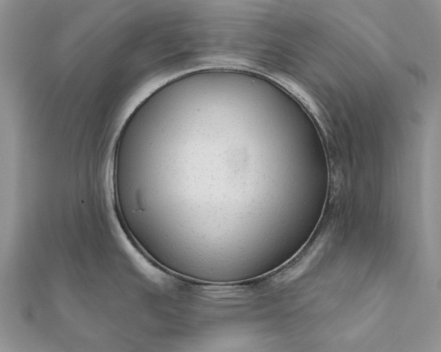 X0000111671391200907311149