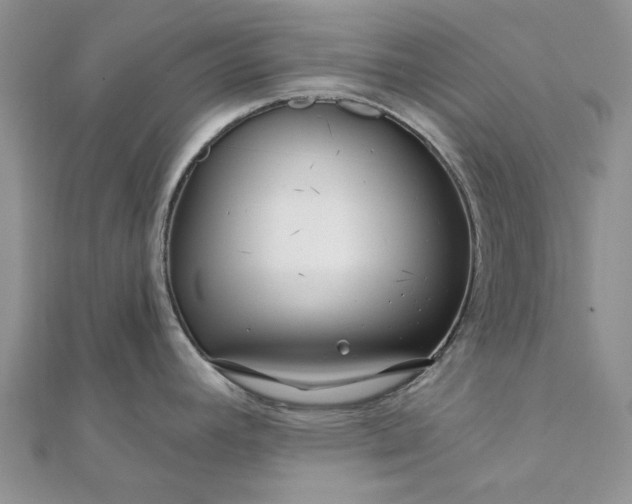 X0000111671392200907311149