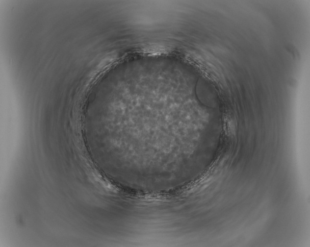 X0000111671393200907311149