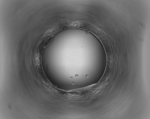 X0000111671394200907311149