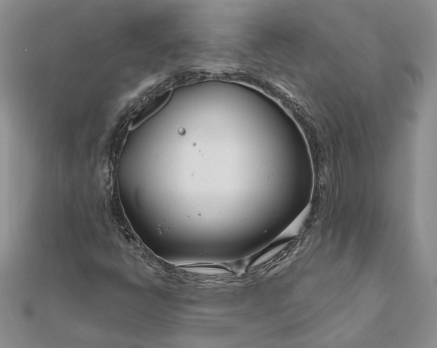 X0000111671398200907311149